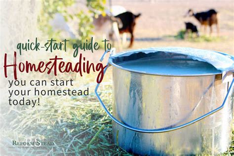Backyard Homestead A Beginners Guide On How To Start Today