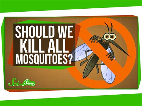 What If We Killed All The Mosquitoes Kidpid