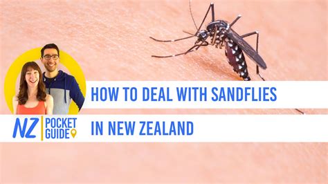 How To Deal With Sandflies In New Zealand NZPocketGuide Com YouTube