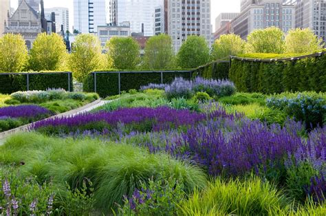 Lurie Garden In Chicago Illinois Us Designed By Piet Oudolf Based
