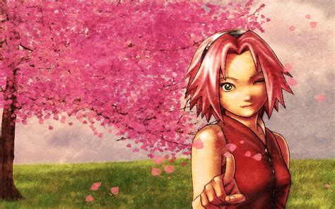 Download Sakura Wallpaper Image Photos Pictures Background By