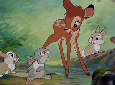 Heres Video Evidence That Bambi And Thumper Are Besties Irl Disney