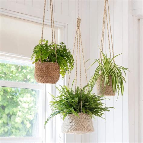 Hanging Indoor Plants Hanging Flower Pots Indoor Plant Pots Hanging