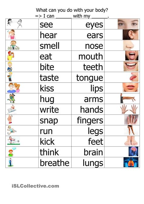 Vocabulary Words For Esl Beginners Pdf