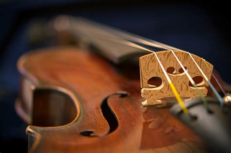 Violin Stock Photo Download Image Now Istock