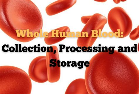 Whole Human Blood Collection Processing And Storage