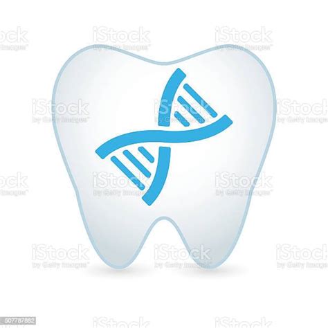 Tooth With Dna Stock Illustration Download Image Now Abstract
