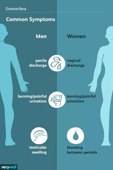 Bacterial And Viral Stis Study Guide Inspirit Learning Inc