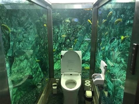 日本有个全透明的厕所 且是 的约会地点 日本 有个 科技说 鹿财经网