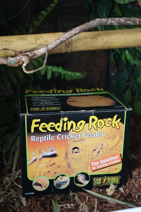 Exo Terra Reptile Feeding Rock