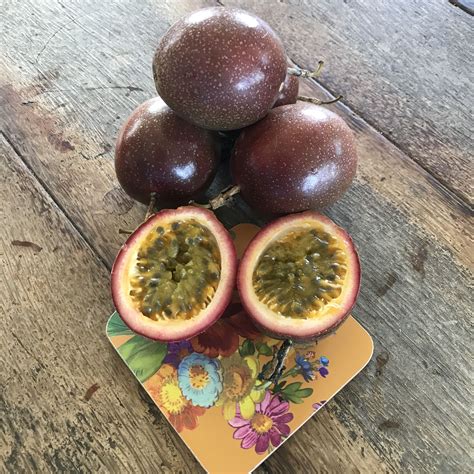 Purple Lilikoi (Passionfruit) in 2021 | Fruit, Fresh fruit, Passion fruit