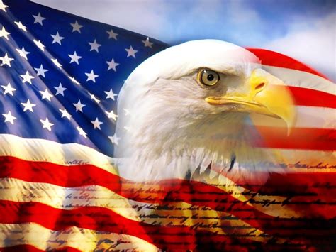 Usa Flag With Eagle Wallpaper Bald Eagle American Bald Eagle