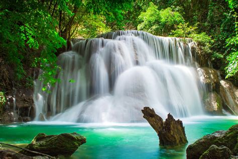 Waterfall In Tropical Forest 4k Ultra Hd Wallpaper Background Image