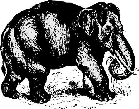 Free Free 344 Black And White Elephant Svg SVG PNG EPS DXF File