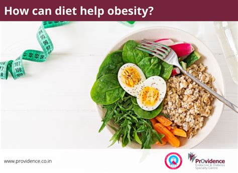 How Can Diet Help Obesity Diet Plan For Obese Person