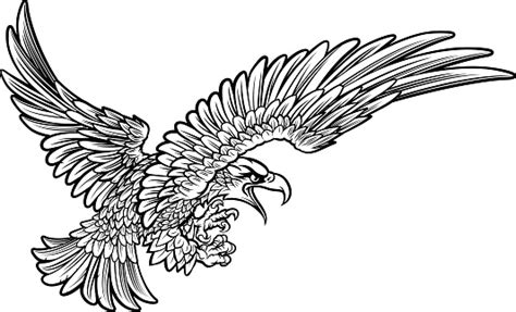 Eagle Swooping From The Side Stock Illustration Download Image Now