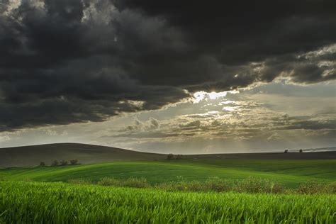 hills, Field, Wheat Wallpapers HD / Desktop and Mobile ...