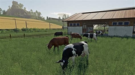 Autofeeder Mod Farming Simulator 19 Mods Gamewatcher