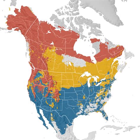 White Crowned Sparrow Range Map Ebird Status And Trends