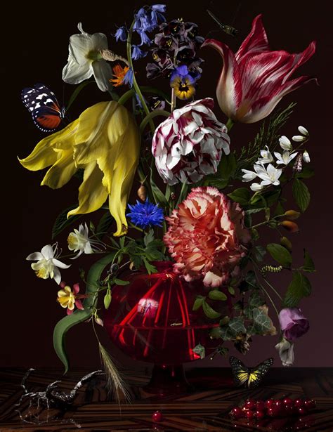 Bas Meeuws Contemporary Dutch Flower Still Life Photography