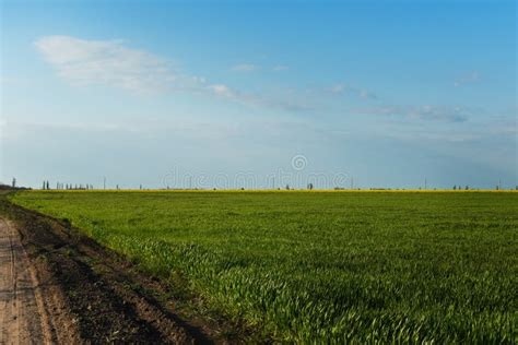 Green Field Road And Blue Sky Stock Image Image Of Natural Land