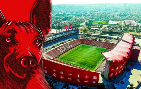 Ver más ideas sobre xolos, tijuana, tijuana futbol. Xolos de Tijuana Noticias, Resultados y Estadísticas ...