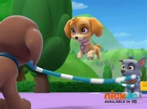 Skyegallerypups And The Kitty Tastrophe Paw Patrol Wiki Fandom