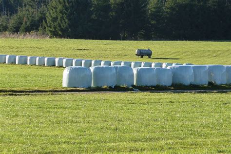 Baled Silage Why Silage Bales Cornext Cornsilage Suppliers