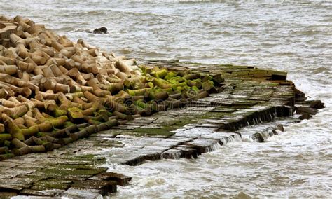 Wave Breakers Stock Image Image Of Fungus Nature Hard 52013049