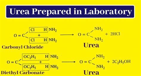 Co Nh2 2 Molar Mass - What Is Urea Chemical Formula - ITSWAH
