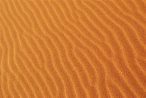 Free Images Landscape Wood Desert Dune Floor Line Africa