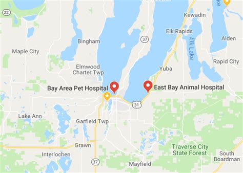 Bay area pet hospital asub kohas traverse city. Bay Area Pet Hospitals - 24 Hours Veterinary Hospital in ...