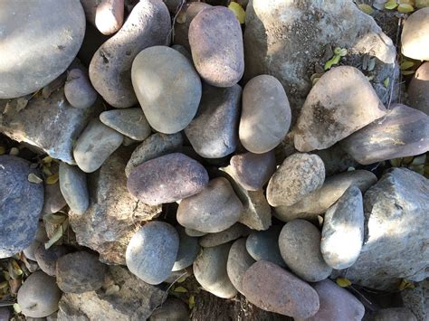 A Pile Of Rocks Awakening Seed School