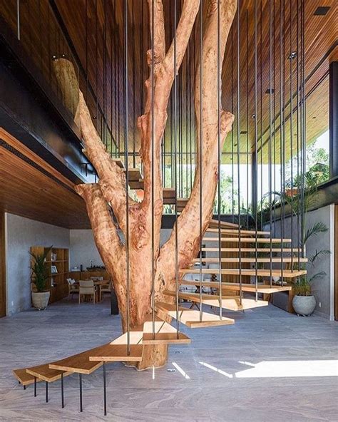 This Modernstaircase Spirals Around A Tree Trunk Bringing A New
