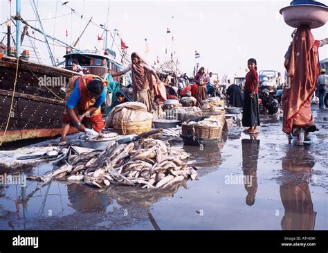 Fish Market Diu Gujarat Hi Res Stock Photography And Images Alamy