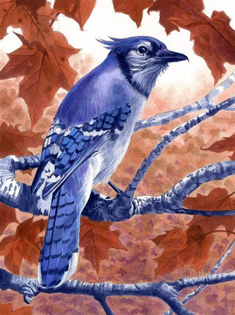 A Painting Of A Blue Jay Perched On A Branch With Autumn Leaves In The
