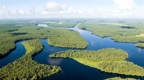 Amazon River Wallpapers High Quality Download Free