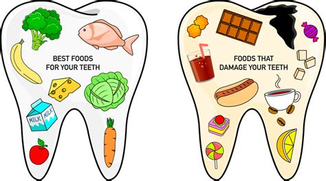 The Best And The Worst Foods For Your Teeth Eco Health Guide
