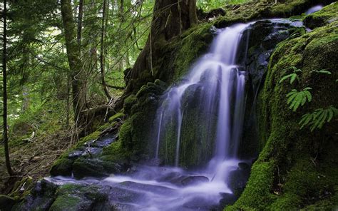Beautiful Forest Waterfall Mac Wallpaper Download