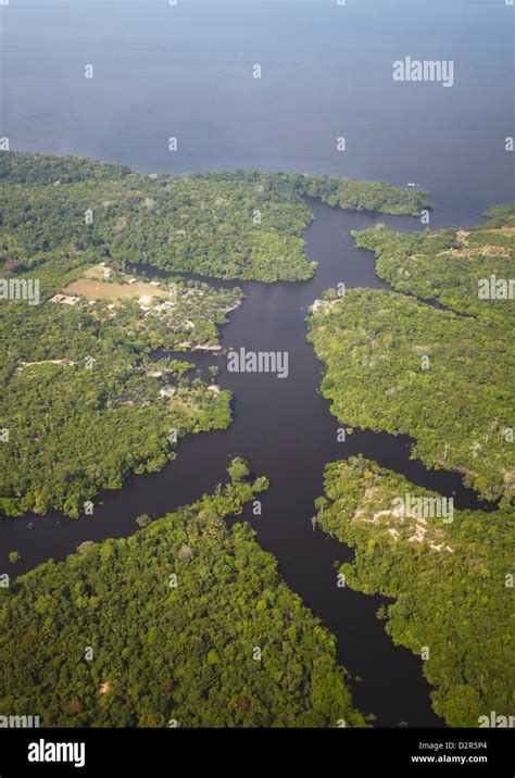 Aerial View Of Amazon Rainforest And The Rio Negro Manaus Amazonas