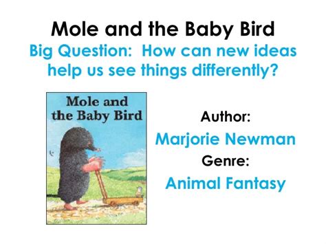Ppt Mole And The Baby Bird Big Question How Can New Ideas Help Us