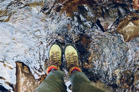 Hiking Boots In Outdoor Action Top View Of Boot On The Trail Stock