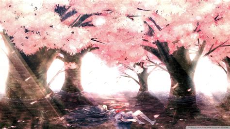 Anime Cherry Blossom Tree Wallpaper 4k Leadsgenerationmarketing