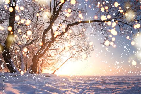 Christmas Background Magic Glowing Snowflakes In Winter Nature