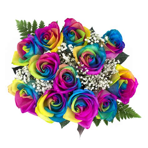 Simply call our florist team toll free on 1800 66 66 46 or place your order of flowers online before 1pm. Rainbow Roses - 12 Stem Rose Bouquets