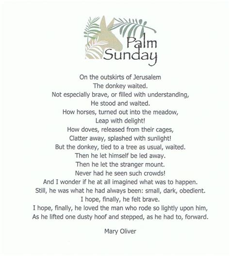 On Fire Mission A Poem For Palm Sunday By Mary Oliver