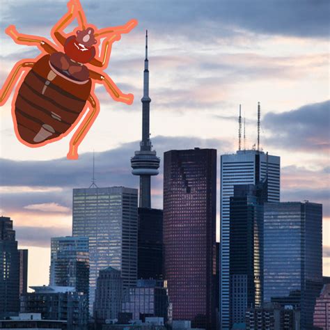 Bed Bug Toronto Still Tops The Worst Cities With Bed Bugs Bed Bug Sos