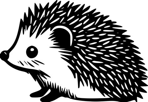 Hedgehog Black And White Isolated Icon Vector Illustration 23568460