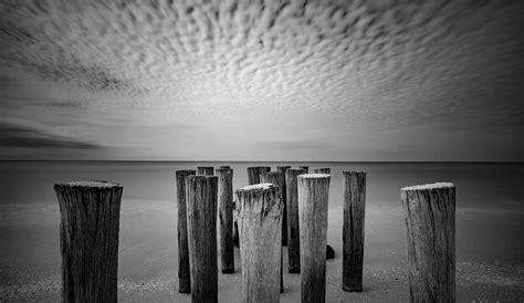 Naples Pilings 2021 Photograph By Joey Waves Fine Art America