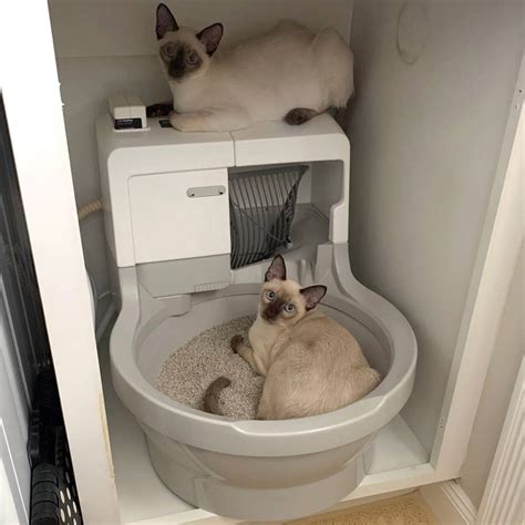 Catgenie Self Washing Self Flushing Cat Box Cat Box Cat Litter